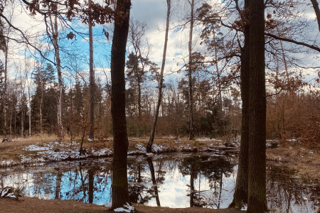 Pražská oáza klidu